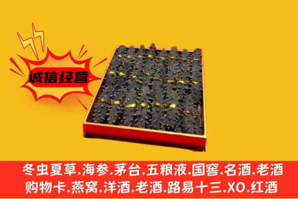 金湾区回收海参